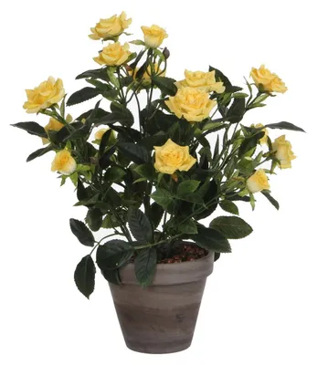 Obrázok produktu pre Mica Decorations Umelá rastlina v kvetináči Stan - H33 x Ø25 cm - žltá