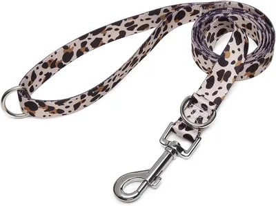 Produktbild von Verstellbare Hundeleine, Weiche Nylon Trainingsleine, 120 cm x 2 cm, für kleine und große Hunde