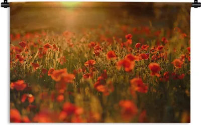 Produktbild von MuchoWow® Wandteppich Wandbehang Mohnblumen - Blumen - Sonnenuntergang 60x40 cm Tapisserie Dekoration Wandtuch - Wanddekorationen