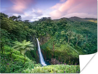 Produktbild von MuchoWow® Poster Wasserfall - Sonnenuntergang - Dschungel 160x120 cm - Foto Plakat
