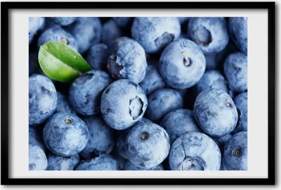 Produktbild von Bild 60x40 MDF-Rahmen, Wandkunst Blaubeeren