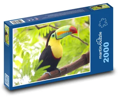 Obrázok produktu pre Puzzle 2000 Tukan na vetve - martinpuzzle