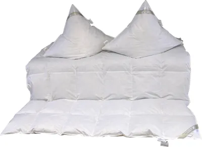 Produktbild von Hofmann Set Kassetten Daunendecke 6x6 200x200 cm 100% Daunen + 2 Kissen 80x80