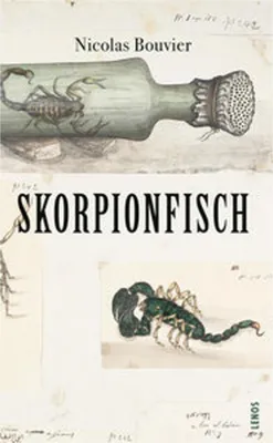 Obrázok produktu pre Skorpionfisch