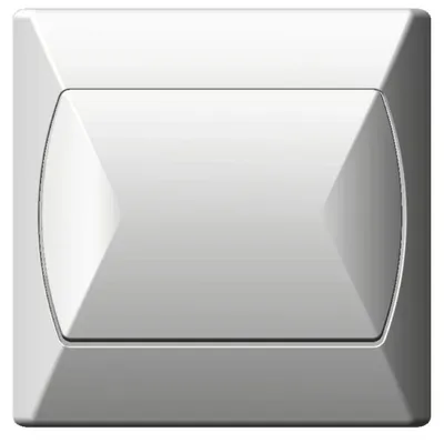 Image de Interrupteur Simple Blanc Ospel Accent
