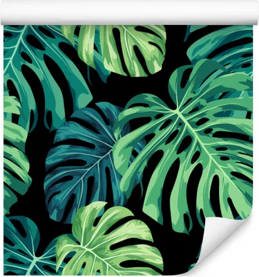 Produktbild von 10m VLIES TAPETE Rolle Pflanzen Blätter Exotisch Monstera XXL