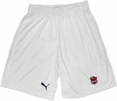 Immagine prodotto di L|PUMA Pantaloncini da uomo 675003-01
