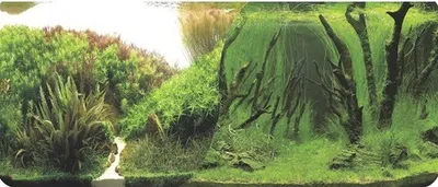 Produktbild von Fotorückwand Motiv 6 60x30 cm