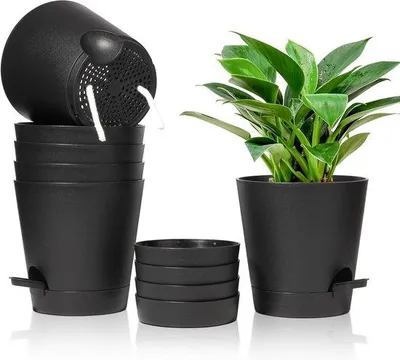 Image de Lot de pots de fleurs ronds en plastique noir de 6,5 cm