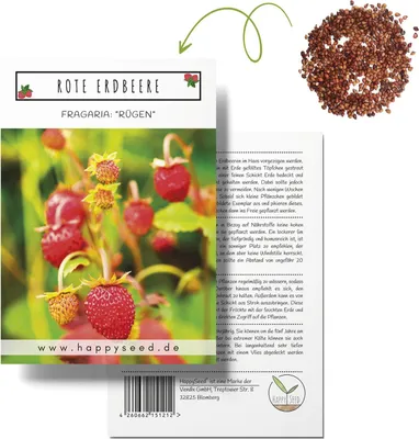 Produktbild von Erdbeeren Samen (Fragaria) - Nährstoffreiche Erdbeer Samen ideal für die Anzucht im Garten, Balkon oder Terrasse
