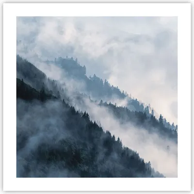 Produktbild von Poster - Poster ohne Rahmen - Berge Nebel Bäume - 50x50 cm - Wand Bild - Wanddeko - Wandbilder - Kunstposter - Wandposter - Bilder - Kunstdruck - Wanddekoration - Wandbild - P2XAC50x50-4429