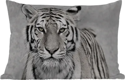 Produktbild von MuchoWow® Outdoor Kissen - Tiger - Natur - Schwarz - Weiß - 50x30 cm - Wetterfest - Lounge Kissen - Sofa kissen - Wohnzimmer Dekoration
