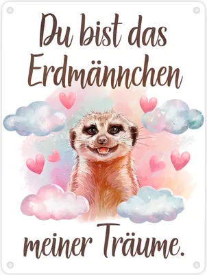 Produktbild von Erdmännchen meiner Träume Metallschild in 15x20 cm