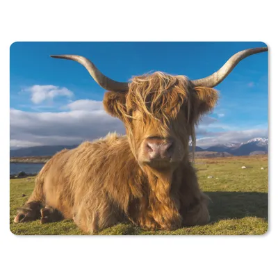 Produktbild von MuchoWow® Mauspad Mousepad Schottische Highlander - Tiere - Gras 23x19 cm - Mousepads - Maus Mat - Pad - Mausunterlage - Schreibtischunterlage - Mauspad