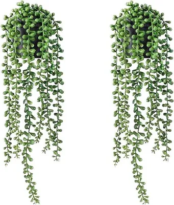 Image de Lot de 2 plantes artificielles avec pots pour la maison