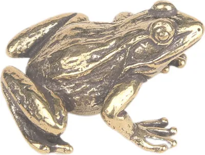 Produktbild von Froschstatue, verschleißfest, lebendiges Aussehen, kreative, wiederverwendbare Froschskulptur aus Kupfer, Teehaustier-Ornament, Haushaltsbedarf