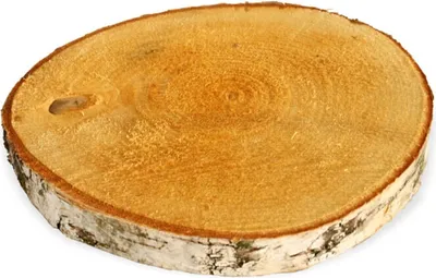 Image de Rondelles d'arbre 1 pc. Bois de décoration Rondelle de bois Plaque de bois 10 - 15 cm
