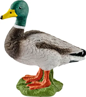 Produktbild von Schleich 13824 - Farm World - Erpel