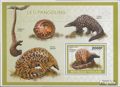 Produktbild von Briefmarken Togo 2010 Mi Block502 (kompl.Ausg.) postfrisch Weißbauchschuppentier