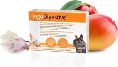 Image de Dogoteka - DogoDigestive - 30 pièces favorise une digestion et un fonctionnement gastrique normaux