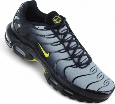 Produktbild von Schuhe Nike Air Max Plus DM0032012