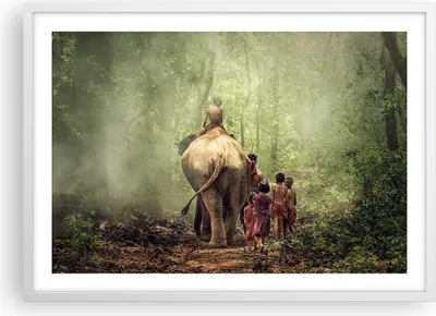 Produktbild von Gerahmtes Poster - Weißer Rahmen - Elefant Dschungel Nebel - 70x50 cm - Wand Bild - Wanddeko - Wandbilder - Kunstposter - Wandposter - Bilderrahmen - Bilder - Kunstdruck - Wandbild - P2WAA70x50-3438