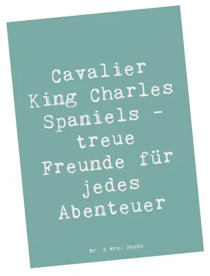 Produktbild von Mr. & Mrs. Panda Ansichtskarte Spruch Cavalier King Charles Spaniel Freunde - Meeresbrise - Geschenk, Fotokarte, Hund, liebevoll, Postkarte, Grußkarte, Ansichtskarten