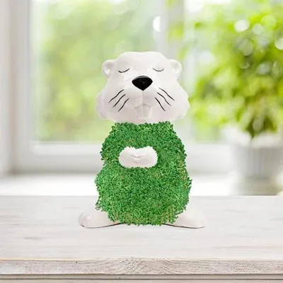 Obrázek produktu pro Chia mazlíček ve tvaru bobra