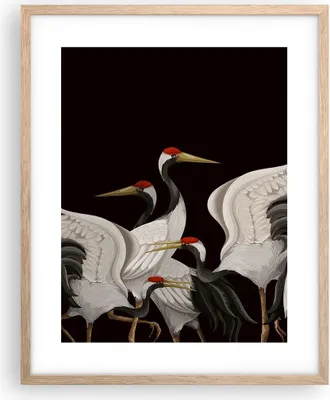 Produktbild von Gerahmtes Poster - Rahmen in heller Eiche - Kraniche Vögel Grafiken - 40x50 cm - Wand Bild - Wanddeko - Wandbilder - Kunstposter - Wandposter - Bilderrahmen - Bilder - Kunstdruck - P2NPA40x50-4748