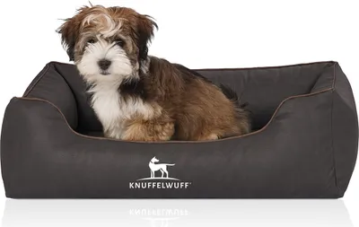 Produktbild von Knuffelwuff orthopädisches Hundebett „Rockland“ aus Kunstleder, Größe M-L, 85 x 63 cm, schwarz
