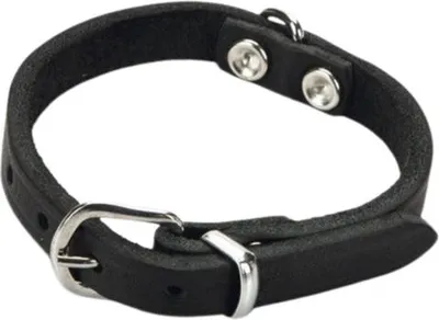 Produktbild von Beeztees - Hundehalsband - Leder - schwarz - 17,5-22,5 cm x 10 mm