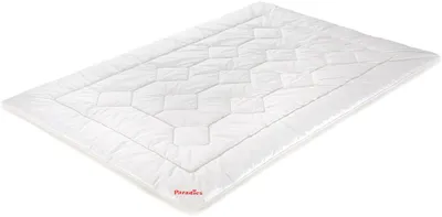 Produktbild von Paradies Ganzjahresbettdecke Anela Bio leicht warm Größe 135x200
