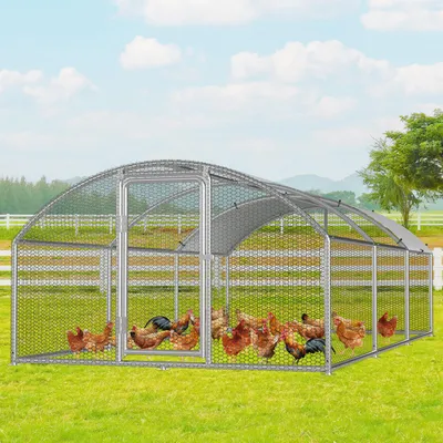 Obrázok produktu pre Klietka pre slepice Peviasot, rozmer 3 x 6 x 2 metre, plocha 18 m², oblúkový strešný systém, pozinkované rúry s priemerom 25 mm, zelená PVC sieťovina a biela polyetylénová (PE) plachta s UV ochranou