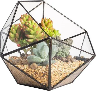Produktbild von Famanu Terrarium Modernes Design - 17 cm x 17 cm x 17 cm