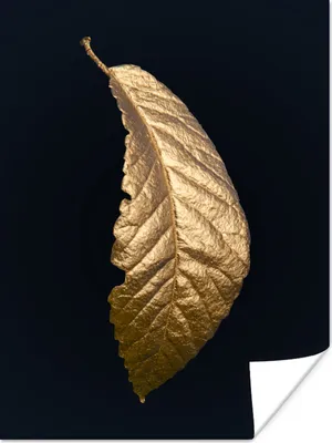 Produktbild von MuchoWow® Poster Blätter - Luxus - Gold - Schwarz - Natur 90x120 cm - Wohnzimmer