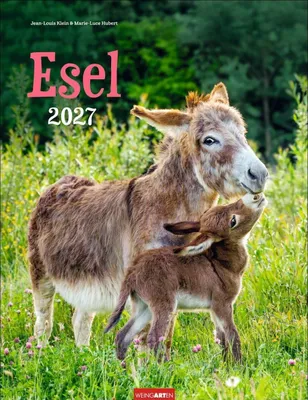 Produktbild von Wandkalender 2027 mit Eselfotos – Hochformat, 30x39 cm