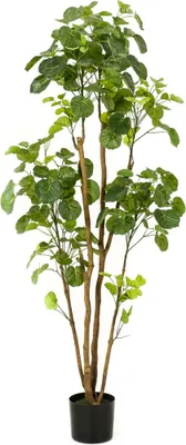 Zdjęcie produktu dla Szmaragdowa sztuczna roślina pierzasta aralia w doniczce 160 cm