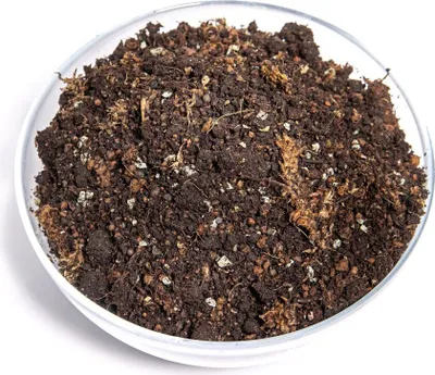 Obrázok produktu pre Gardners Kokedama Mix - S, 300 g