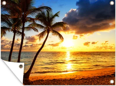Produktbild von MuchoWow® 120x90 cm Outdoor-Poster Gartendeko Sichtschutz Garten Poster für den Garten  Strand - Horizont - Sonnenuntergang - Palme - Meer