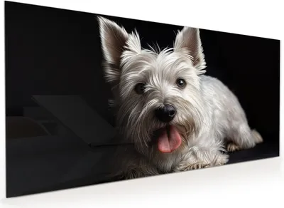 Produktbild von Küchenrückwand Spritzschutz Glas mit Motiv Weisser Hund 40 x 40 cm