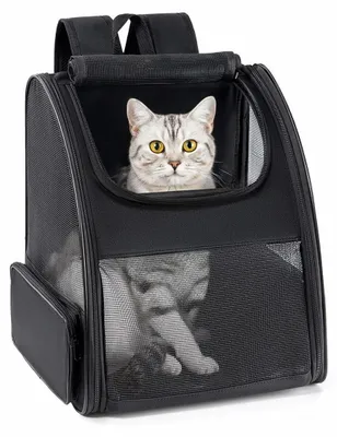 Productafbeelding van Hondenrugzak - Huisdierendrager - Kat - Rugzak voor huisdieren