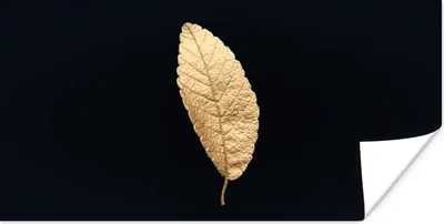 Produktbild von MuchoWow® Poster Schwarz und Gold - Blätter - Schwarz - Pflanzen - Luxus 40x20 cm - Poster für die Wand - Poster Schlafzimmer