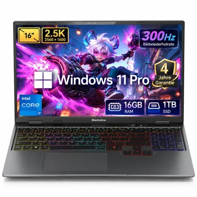 Produktbild von Blackview GamiBook 16 Gaming Laptop, 16 Zoll 2.5K 300Hz, Intel Core i7-13650HX, RTX 5060, 16GB DDR5, 1TB PCIe 4.0 SSD, Windows 11 Pro