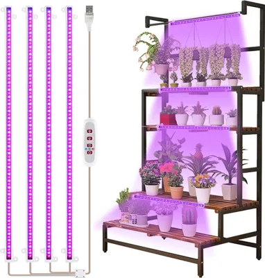 A plant stand with multiple shelves filled with plants, illuminated by purple LED grow lights.