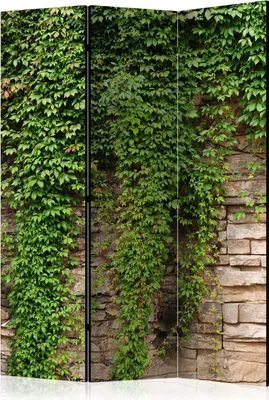 Zdjęcie produktu dla Parawan dwustronny Liście 135x172 cm 3-częściowy zielony