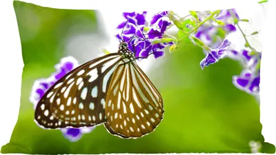 Produktbild von MuchoWow® Zierkissen Sofakissen Wohnzimmer Dekokissen 50x30 cm Lavendel - Schmetterling - Botanisch - Wohnzimmerdekoration - Polster mit Photo