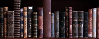 Produktbild von Wallario Poster - Bücherregal mit alten Büchern, Kunstdruck Größe: 50 x 125 cm