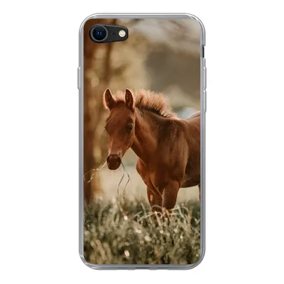 Produktbild von MuchoWow® Handyhülle Schutzhülle Hülle für iPhone 7 Pferd - Licht - Wiese Silikon Softcase Handy Hülle - Kartenhalter