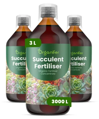 Produktbild von Flüssigdünger Für Sukkulenten 3x1L – 2-1-8 NPK – Flüssig-Pflanzendünger Für Sukkulenten – Organifer