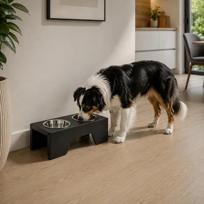 Productafbeelding van QLS Voerbakstandaard, 15 cm, metaal, voor honden en katten, zwart, model 11510, AI-gegenereerde afbeelding